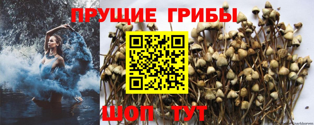 Комсомольск-на-Амуре  Псилоцибиновые грибы ЛСД  Вход с VPN 