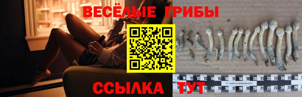 Галлюциногенные грибы MAGIC MUSHROOMS Комсомольск-на-Амуре